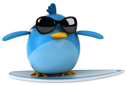 Blue bird
